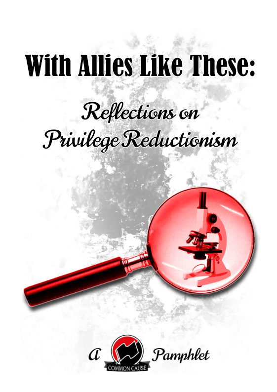 With Allies Like These:

Reflections on
Privilege Reductiéni

 
